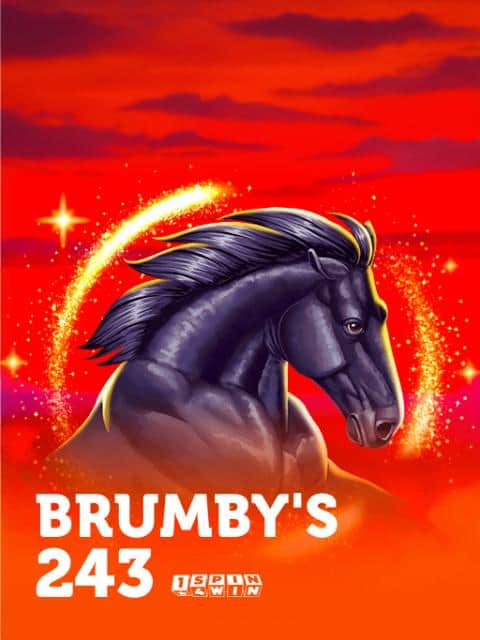 Brumby's 243