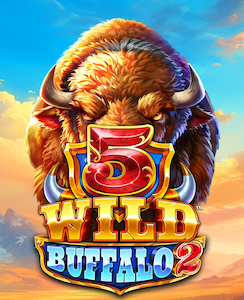 5 Wild Buffalo 2