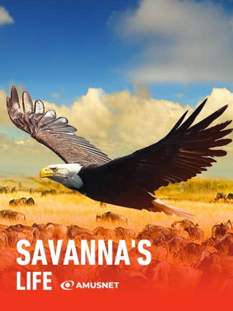 Savanna's Life