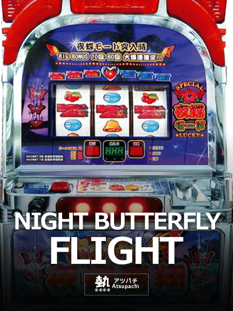 NIGHT BUTTERFLY FLIGHT