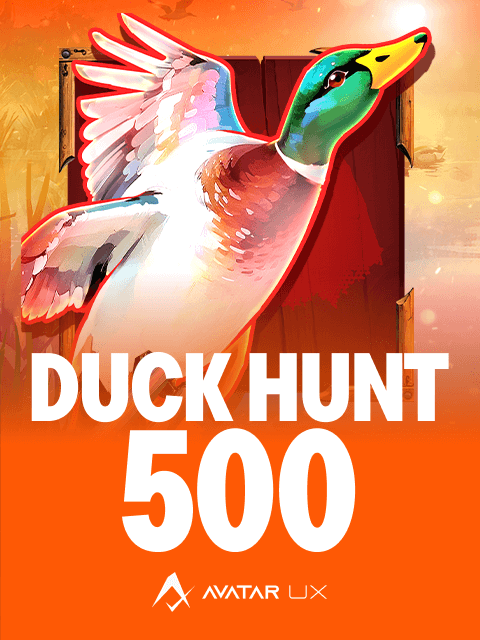 Duck Hunt 500