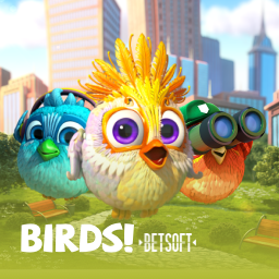 Birds