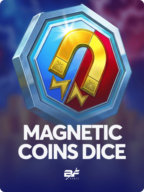 Magnetic Coins Dice