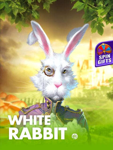 White Rabbit
