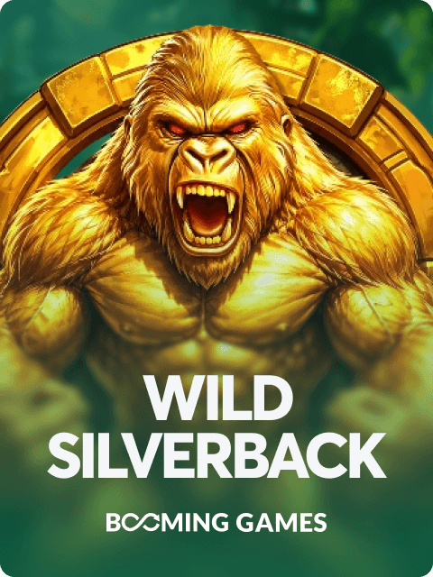 Wild Silverback
