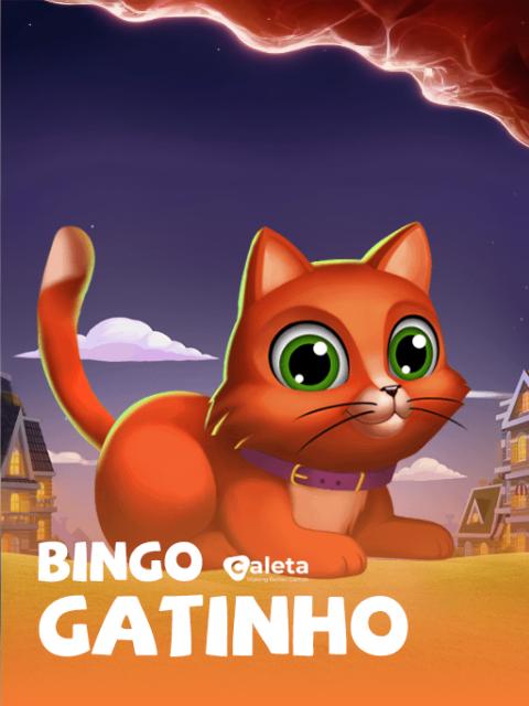 Bingo Gatinho