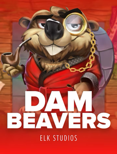 Dam Beavers