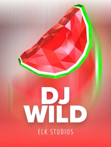DJ Wild