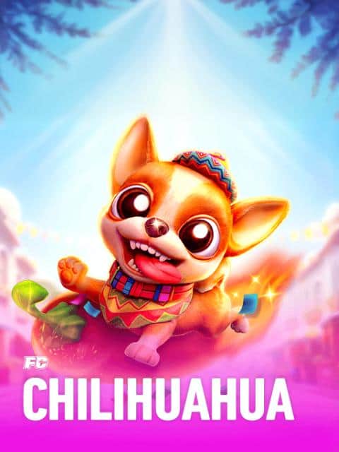 CHILIHUAHUA