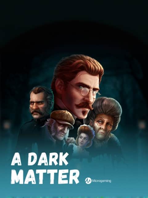 A Dark Matter