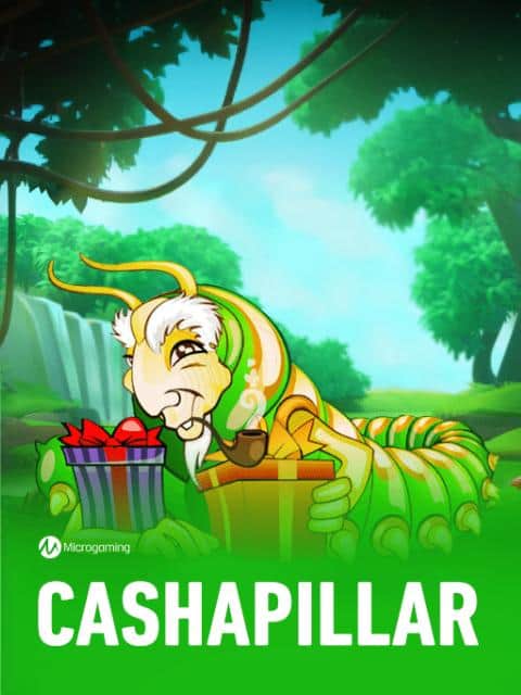 Cashapillar