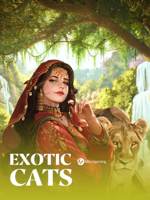 Exotic Cats
