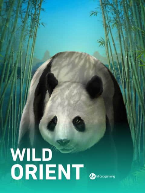 Wild Orient