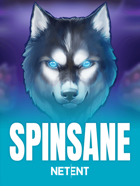 Spinsane