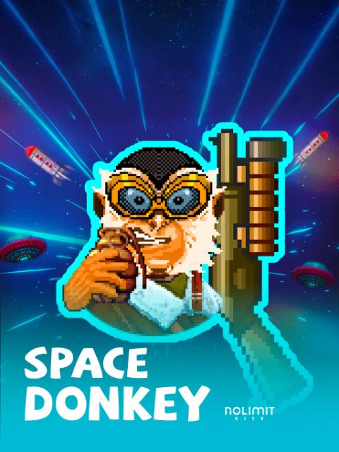Space Donkey
