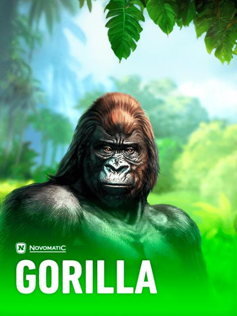 Gorilla