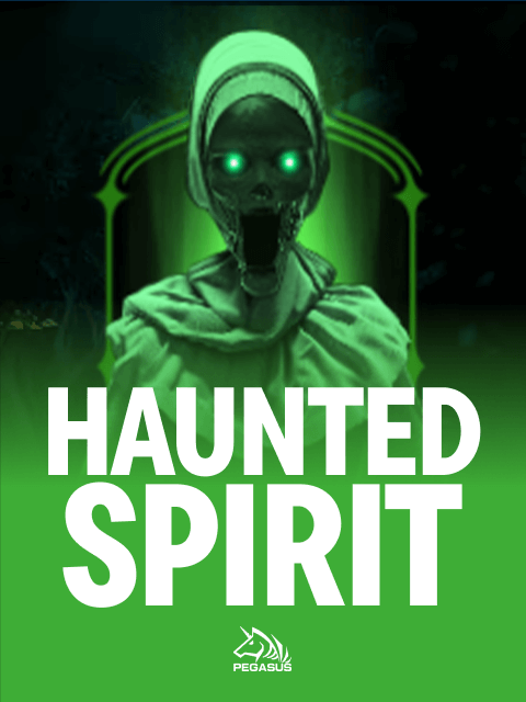 Haunted Spirit