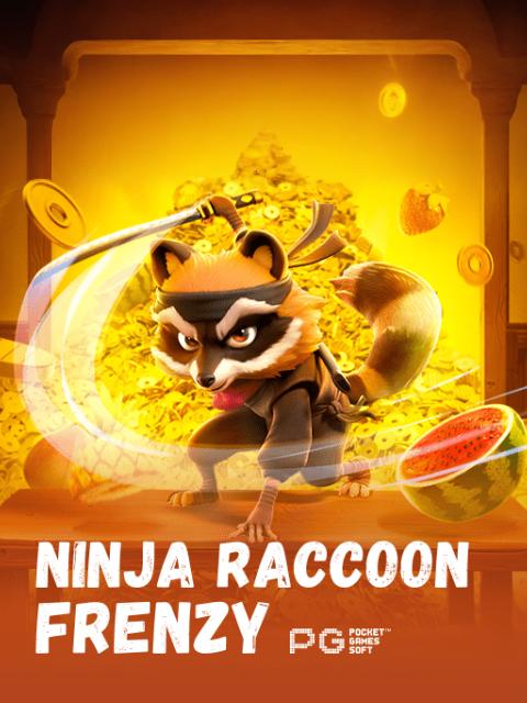 Ninja Raccoon Frenzy