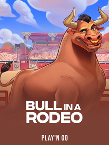 Bull in a Rodeo