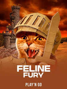 Feline Fury
