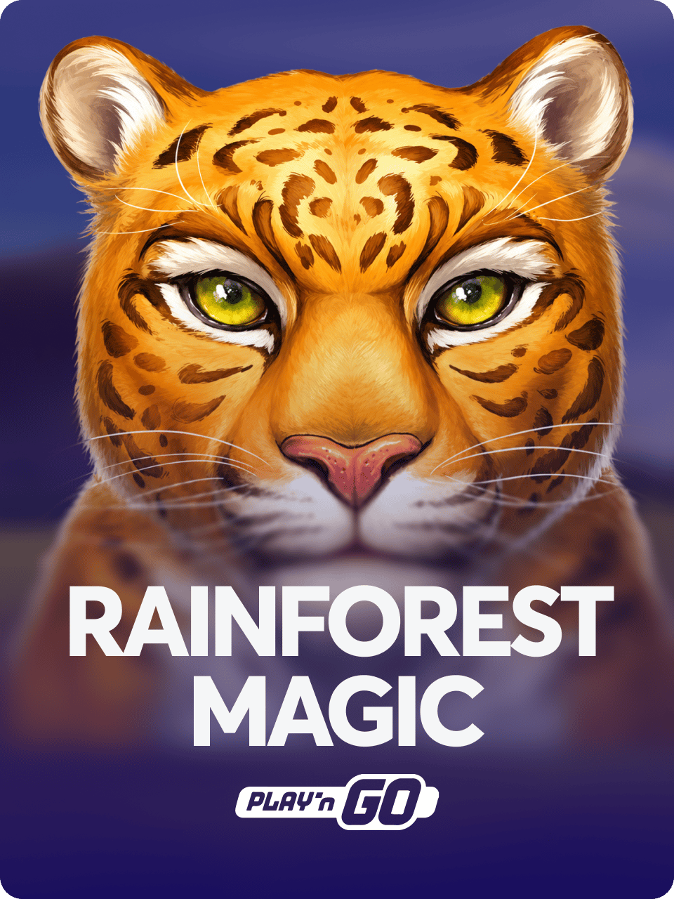 Rainforest Magic
