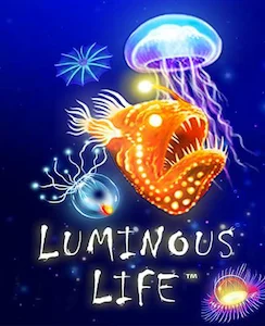 Luminous Life