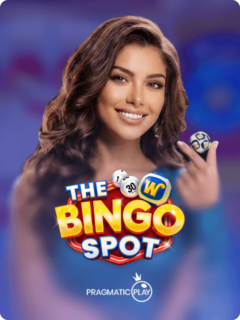 The Bingo Spot