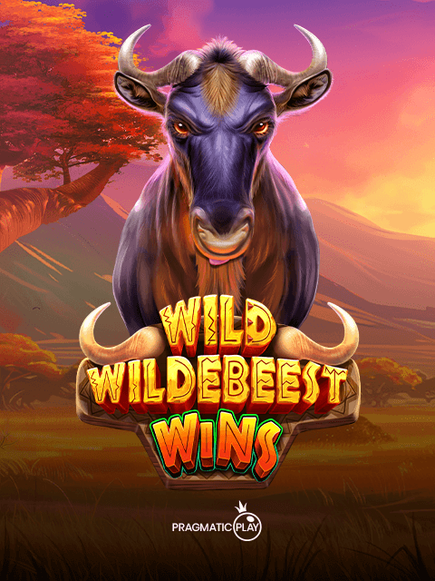 Wild Wildebeest Wins