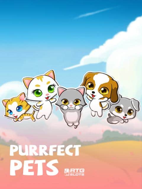 Purrfect Pets