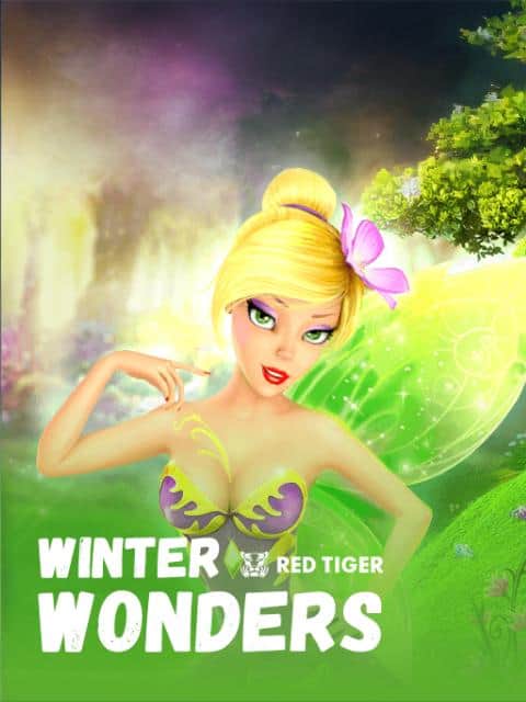 Winter Wonders
