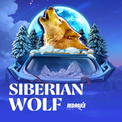 Siberian Wolf