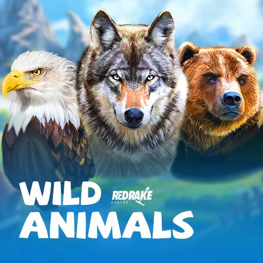 Wild Animals