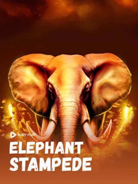 Elephant Stampede