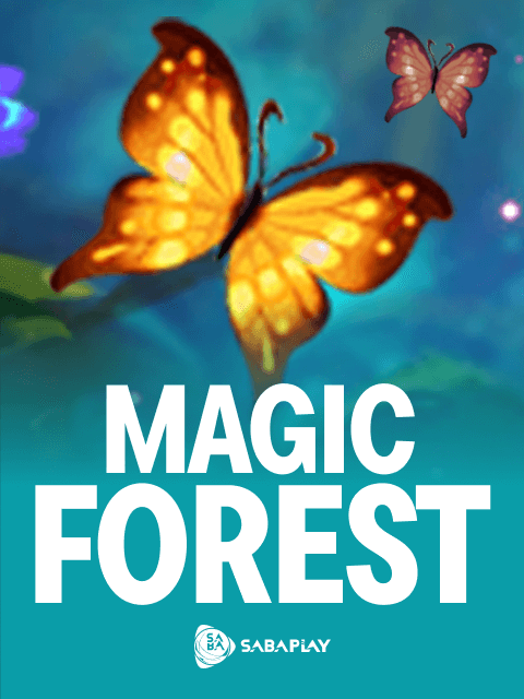 Magic Forest