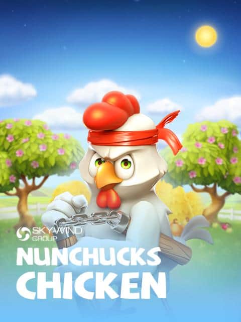 Nunchucks Chicken