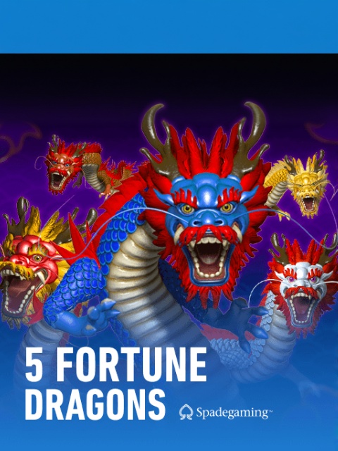 5 Fortune Dragons
