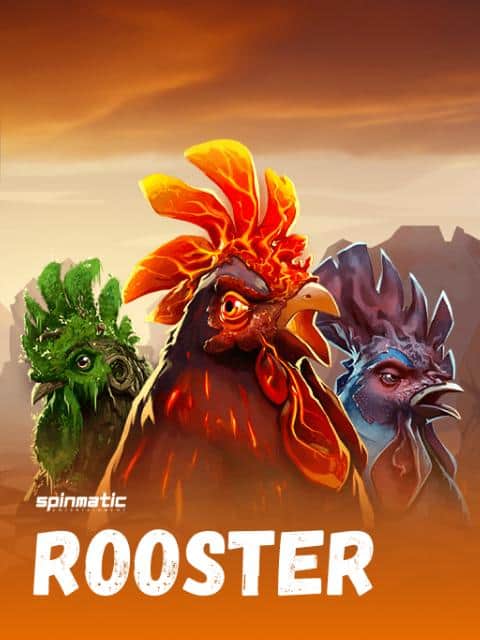 Rooster