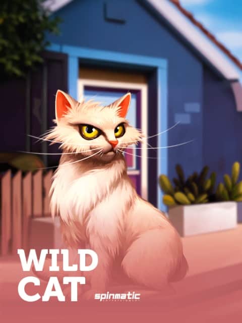 Wild Cat