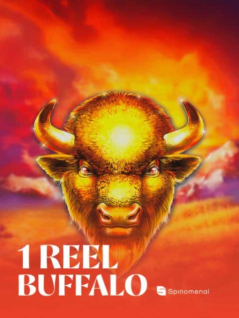 1 Reel Buffalo