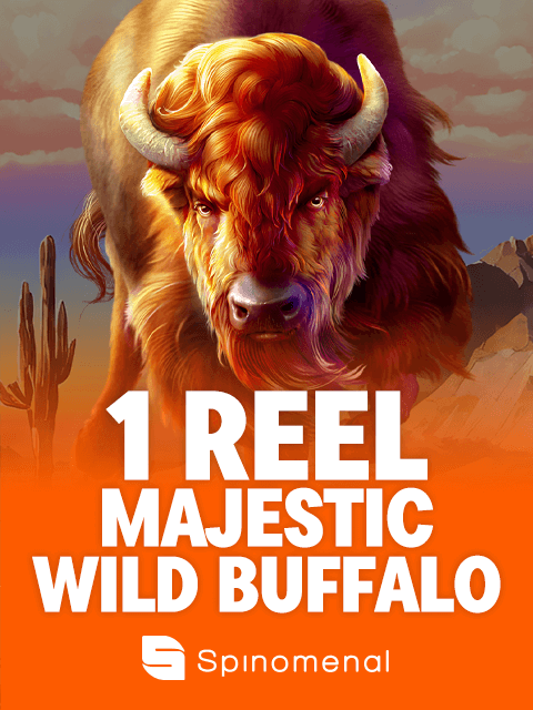 1 Reel - Majestic Wild Buffalo