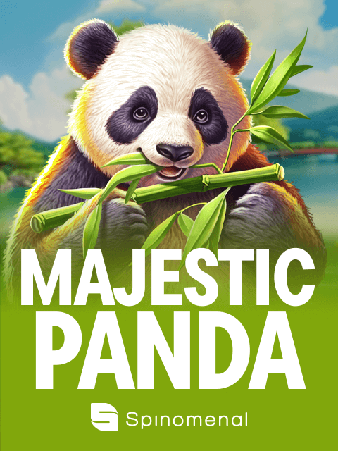 Majestic Panda