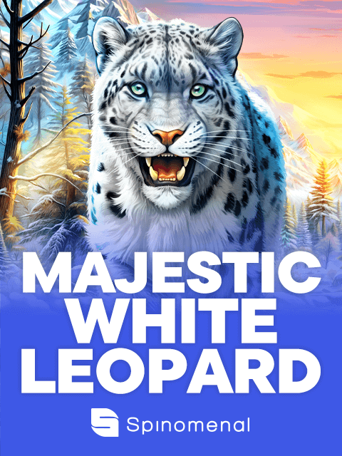 Majestic White Leopard