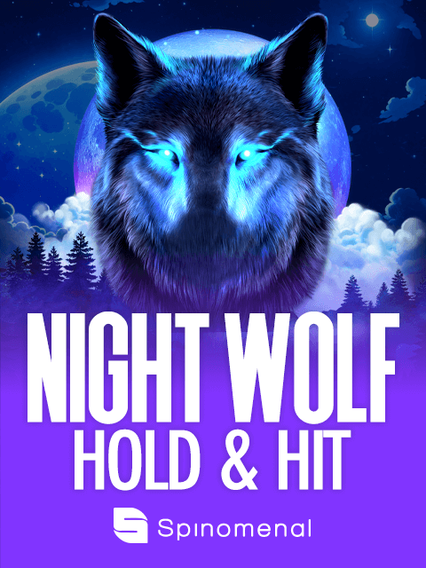 Night Wolf - Hold & Hit