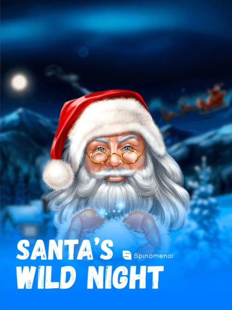 Santas Wild Night
