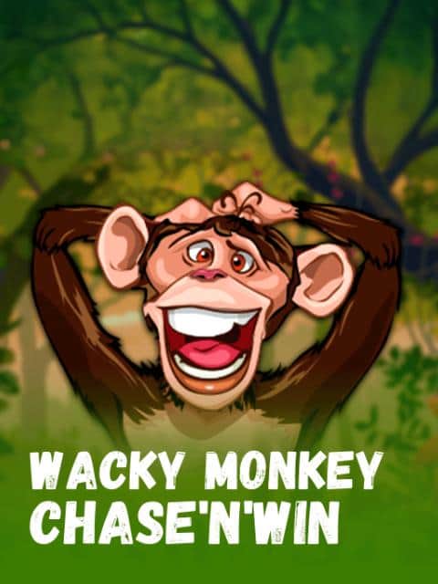 Wacky Monkey ChaseNWin