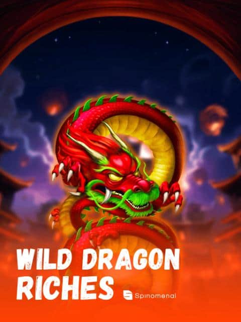 Wild Dragon Riches