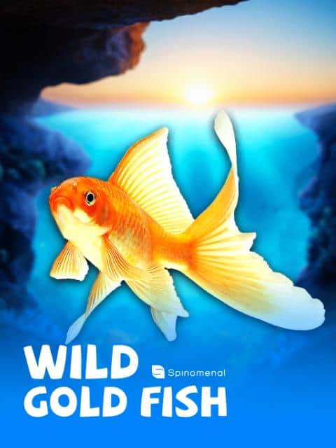 Wild Gold Fish