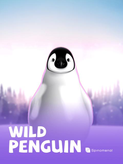 Wild Penguin
