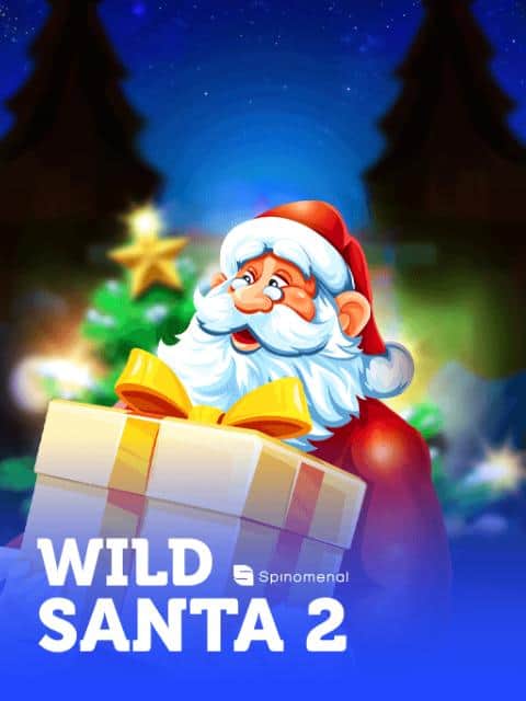 Wild Santa 2