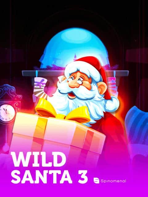 Wild Santa 3